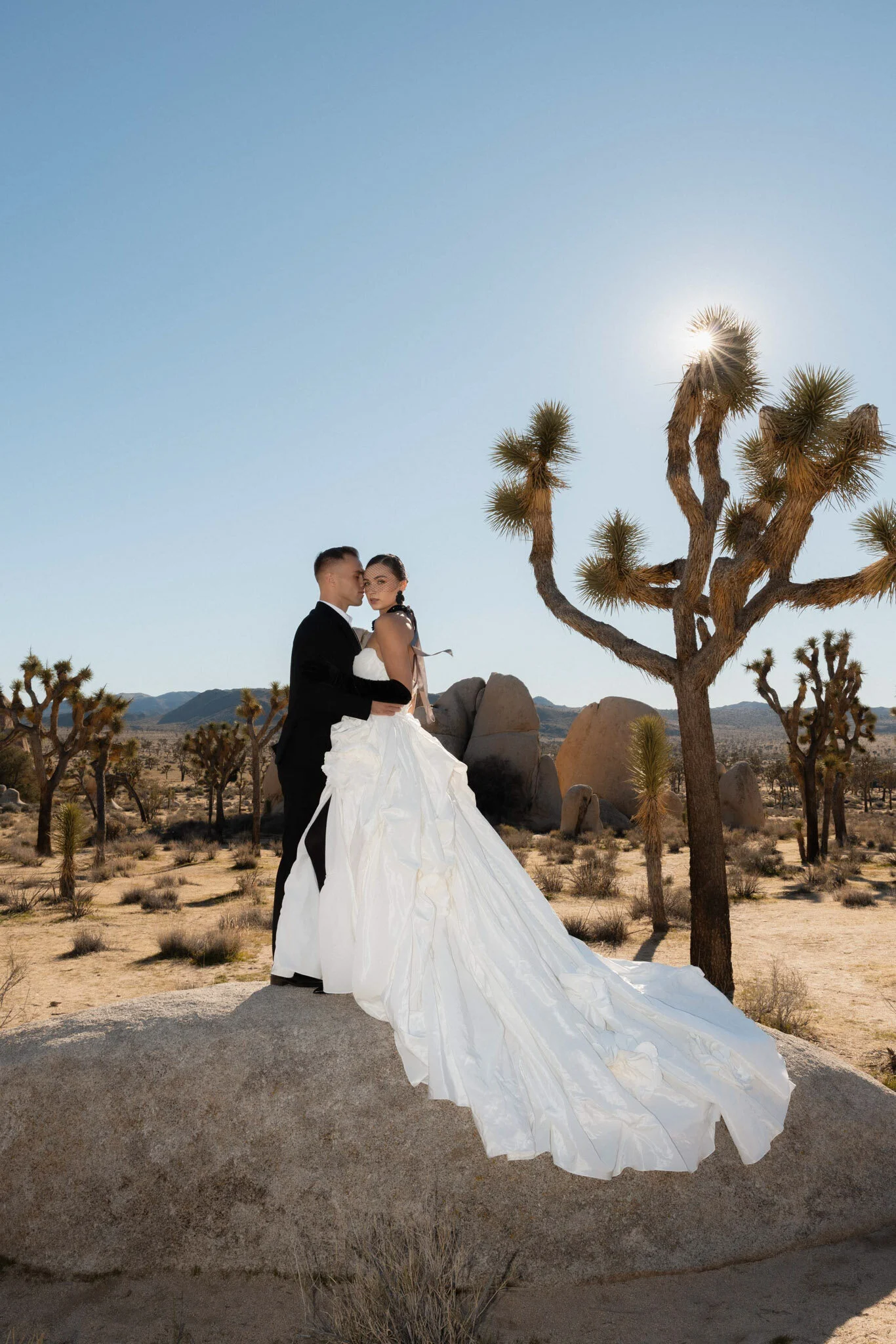 Couple embracing in front of a Joshua Tree with a sun flare