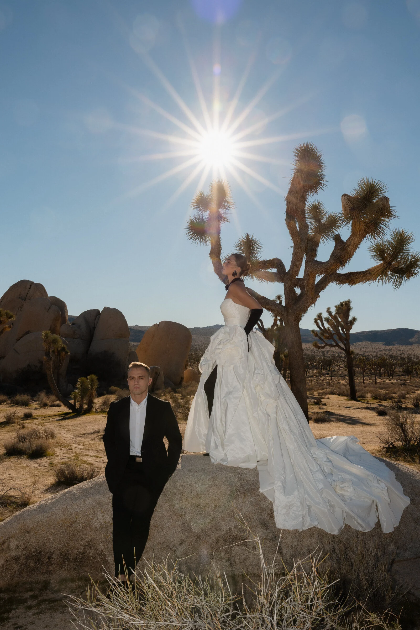A couple beneath a Joshua tree with sunlight shining above them