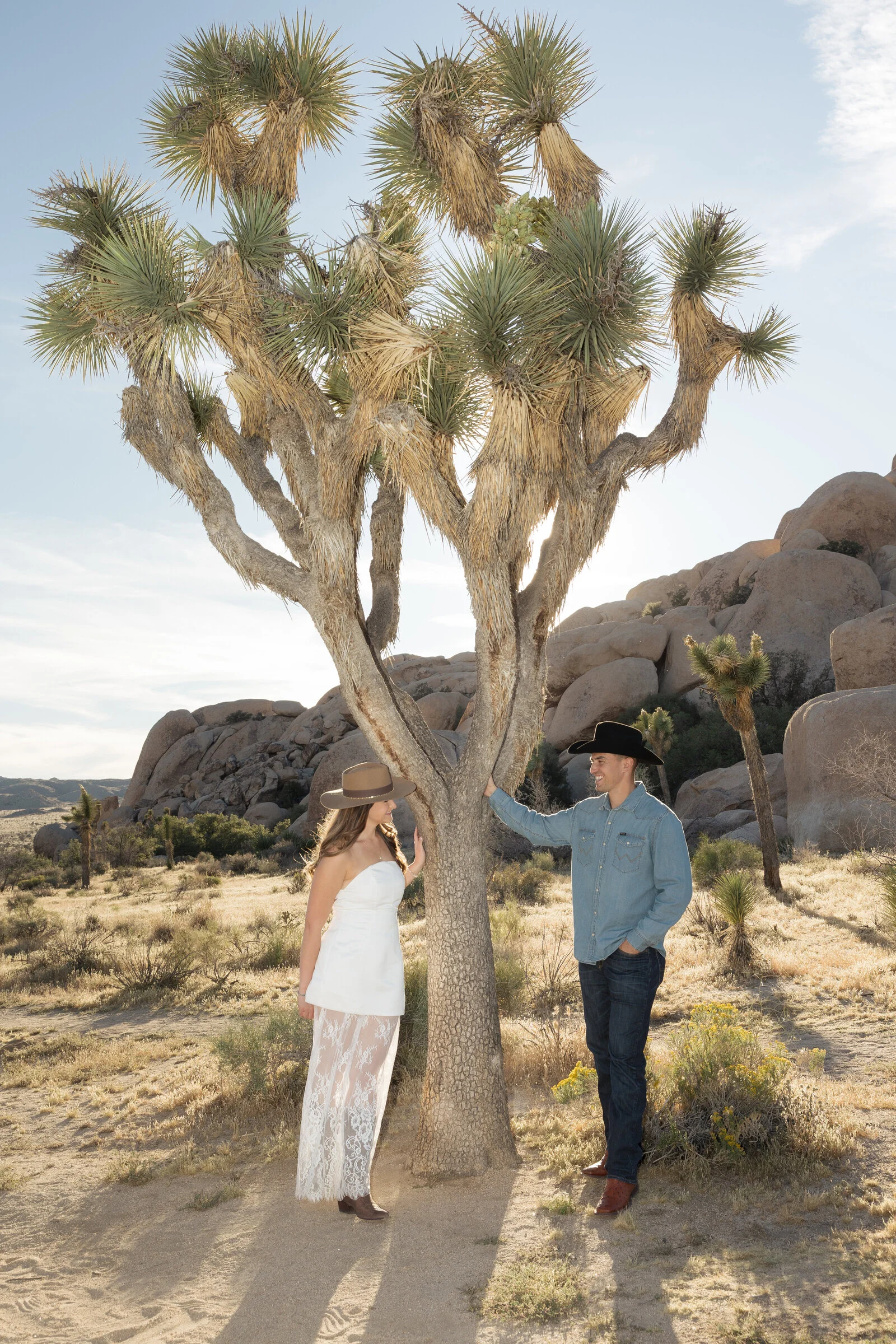 A couple embracing beneath a Joshua tree